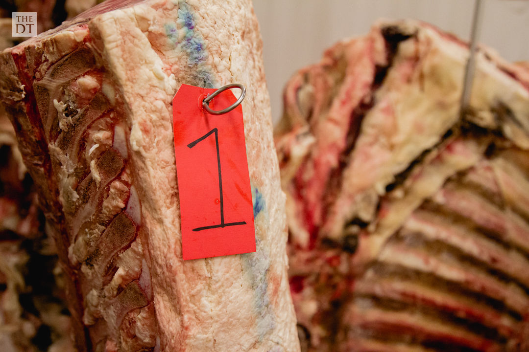 Texas Tech Meat Judging Team